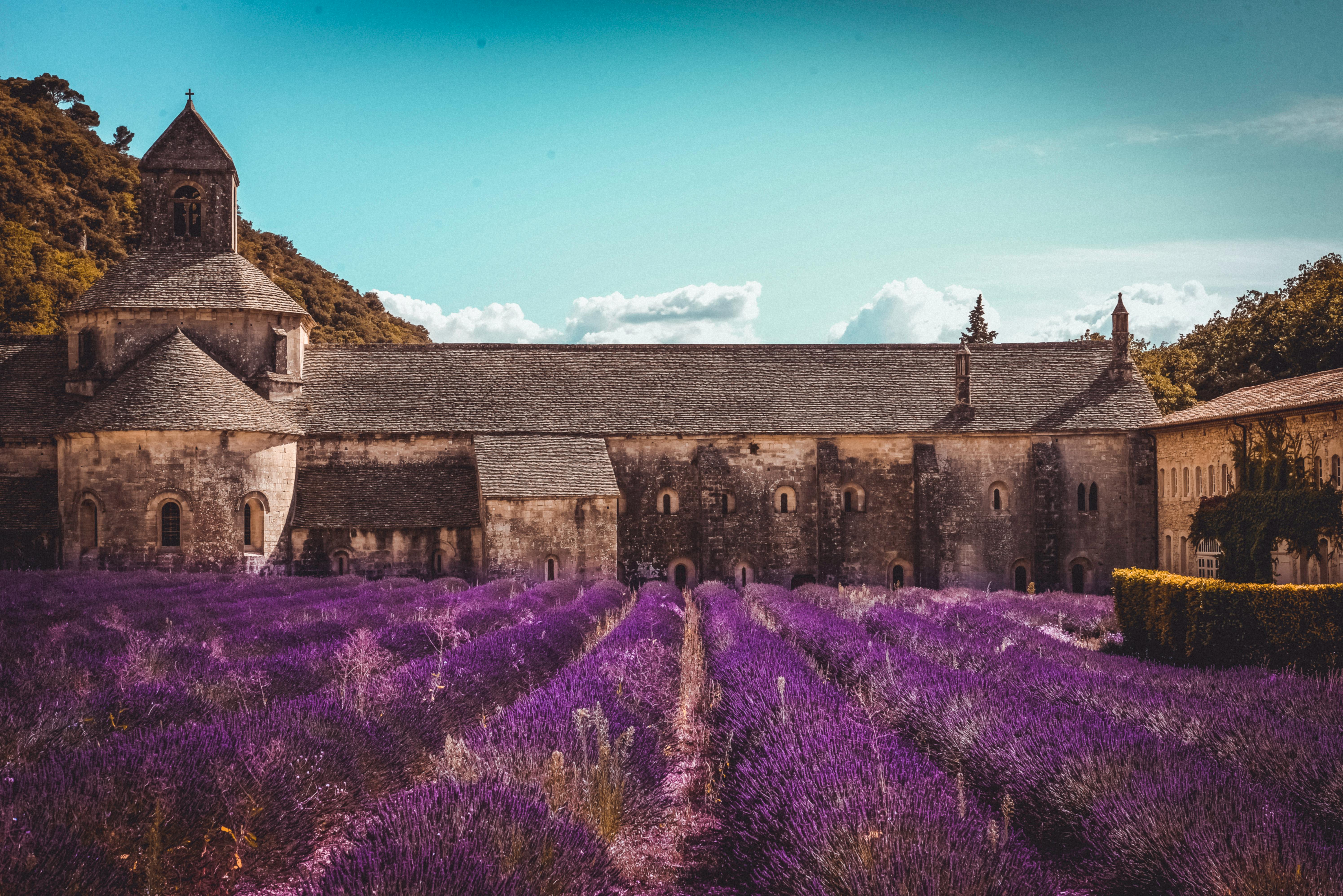 provence-landscape